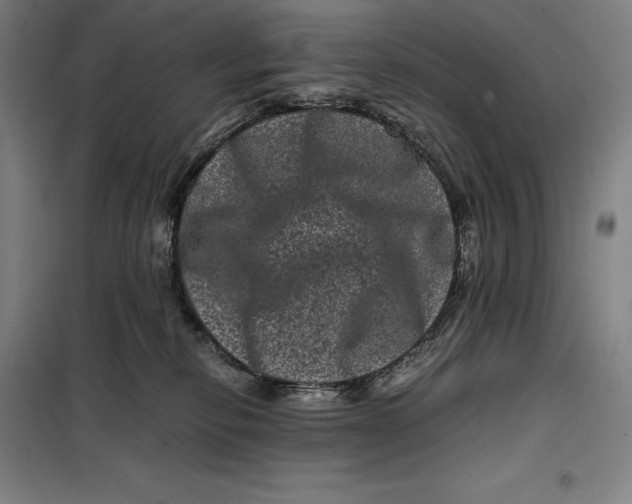 X0000099470278200805301603