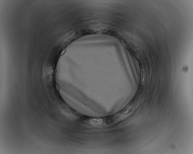 X0000099470279200805301603