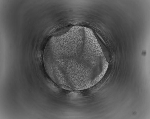 X0000099470280200805301603