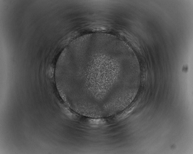 X0000099470281200805301603