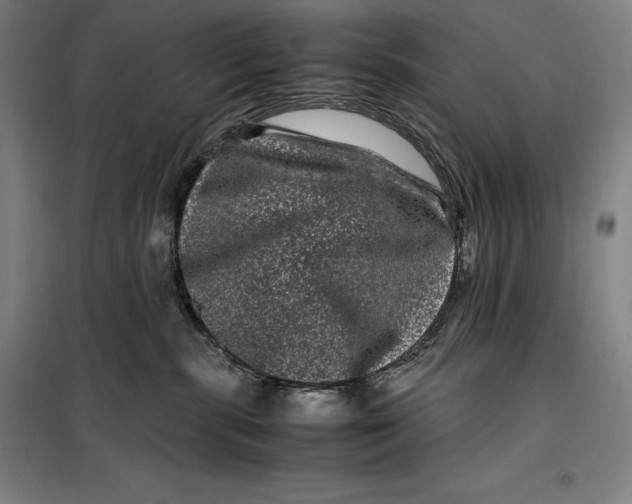 X0000099470283200805301603