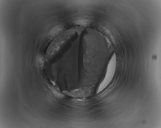 X0000099470285200805301603