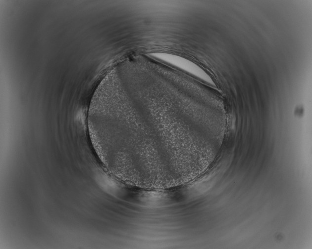 X0000099470286200805301603