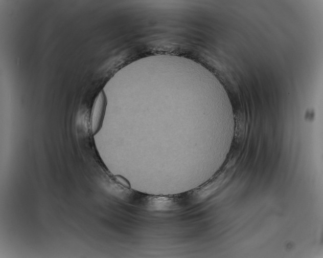 X0000099470287200805301603