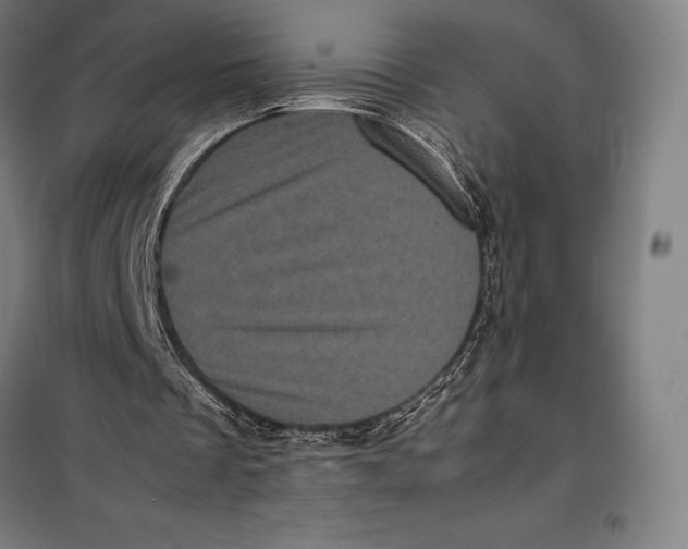 X0000099470289200805301602