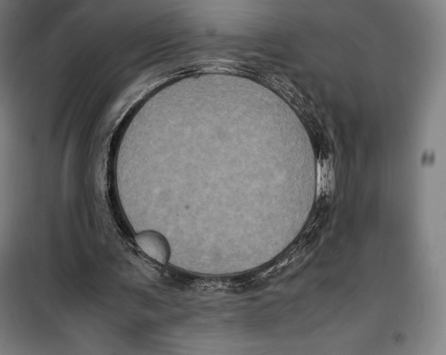 X0000099470291200805301602