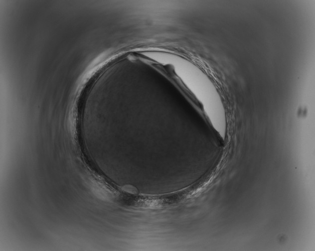 X0000099470295200805301602