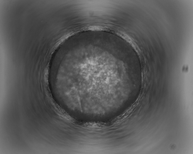 X0000099470297200805301602