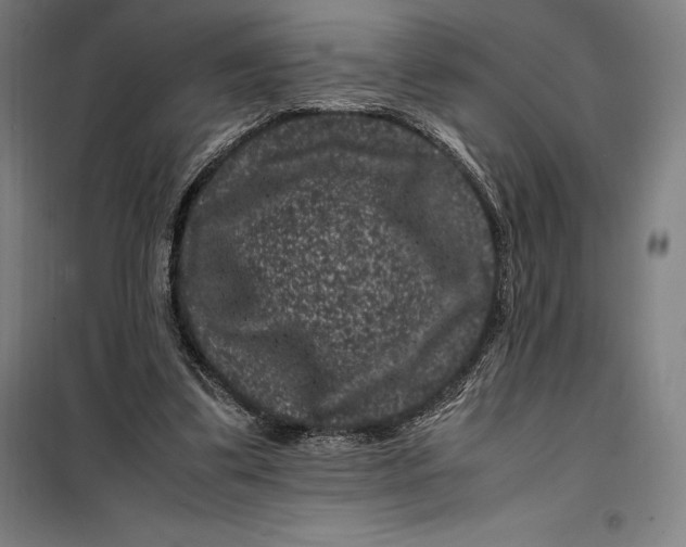 X0000099470299200805301602