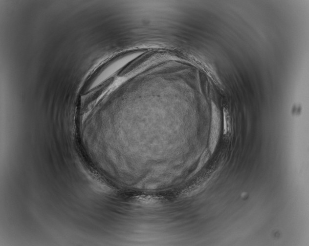 X0000099470300200805301602