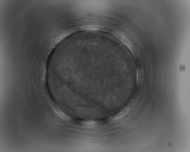 X0000099470301200805301602