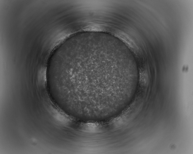 X0000099470302200805301602