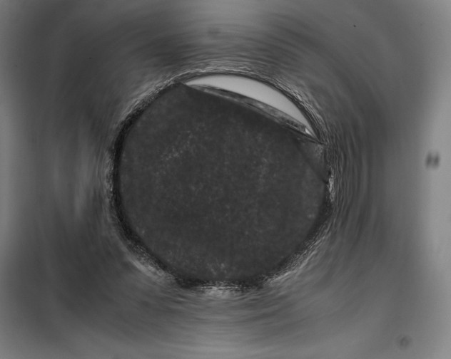 X0000099470303200805301602