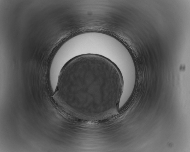 X0000099470308200805301602