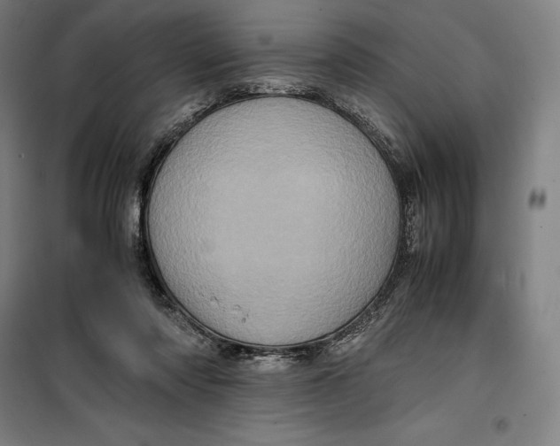 X0000099470310200805301602