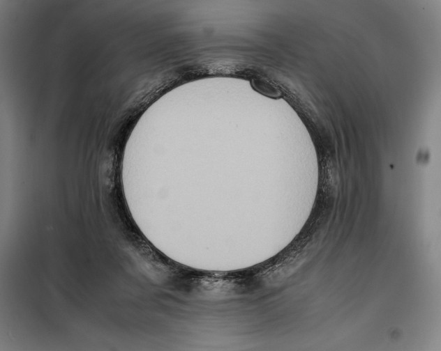 X0000099470311200805301602