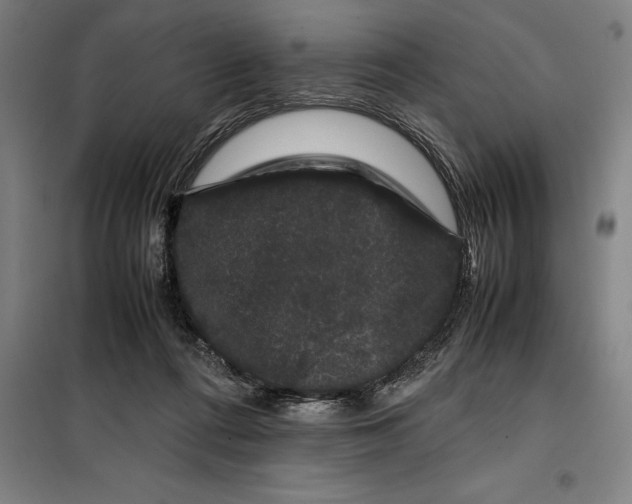 X0000099470312200805301602