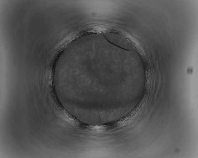 X0000099470313200805301602