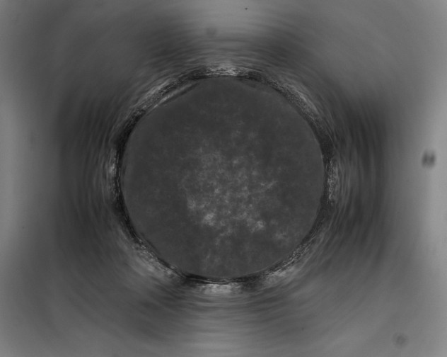 X0000099470314200805301602