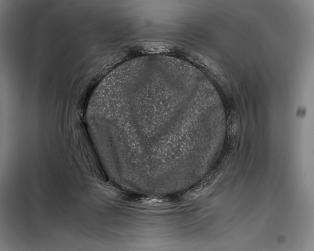 X0000099470315200805301602