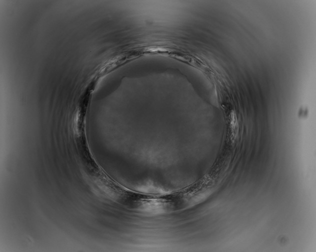 X0000099470316200805301602