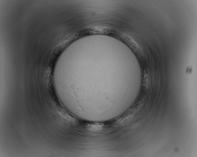 X0000099470318200805301602