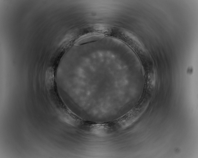 X0000099470320200805301602