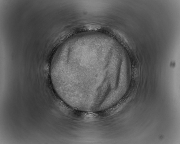 X0000099470321200805301602