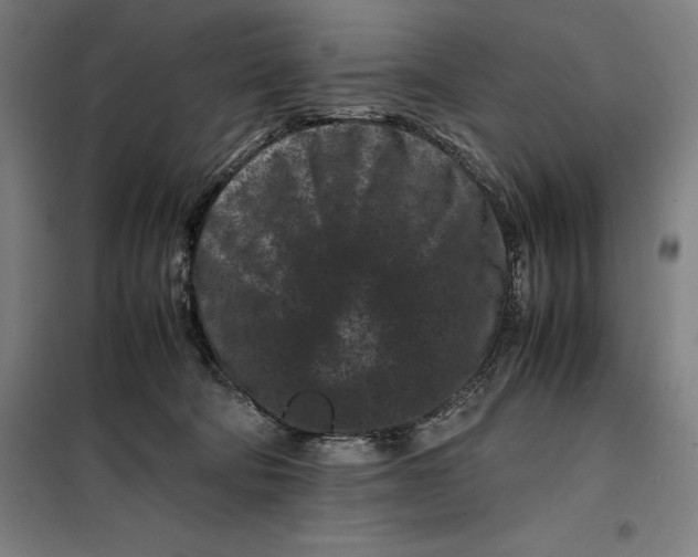 X0000099470322200805301602