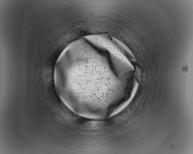 X0000099470323200805301602