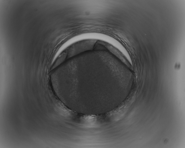 X0000099470325200805301602