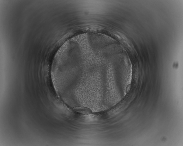 X0000099470326200805301602