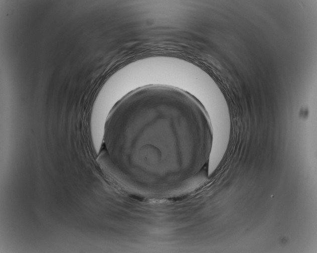 X0000099470327200805301602