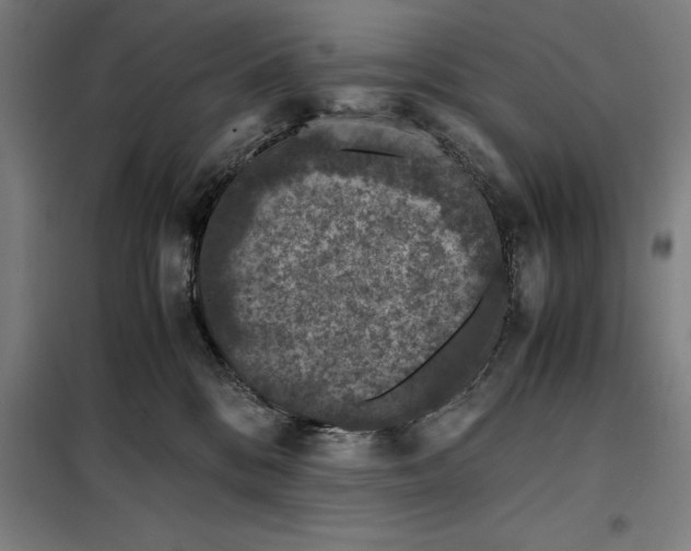 X0000099470328200805301602