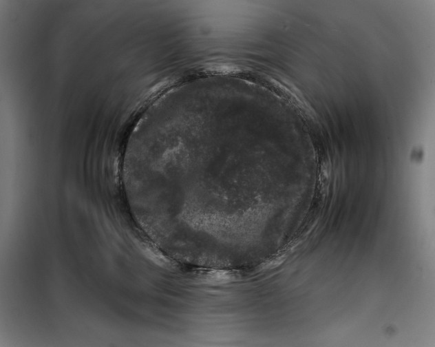 X0000099470330200805301602