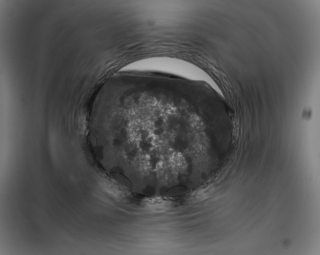 X0000099470331200805301602