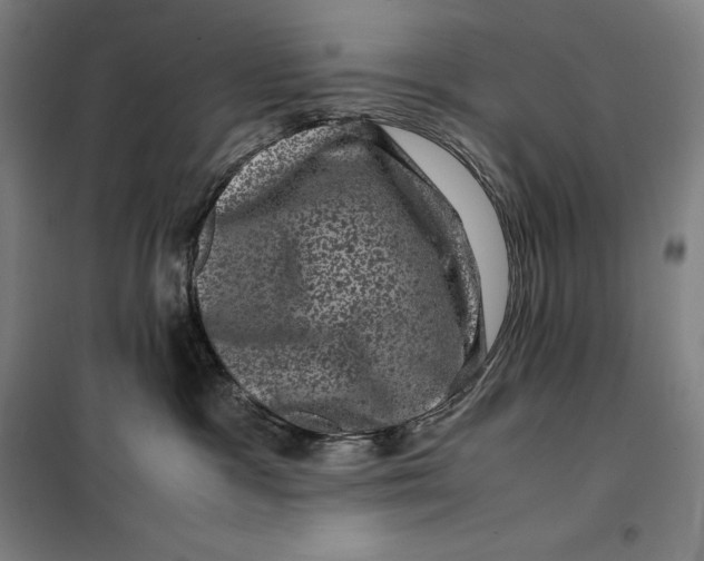 X0000099470333200805301602