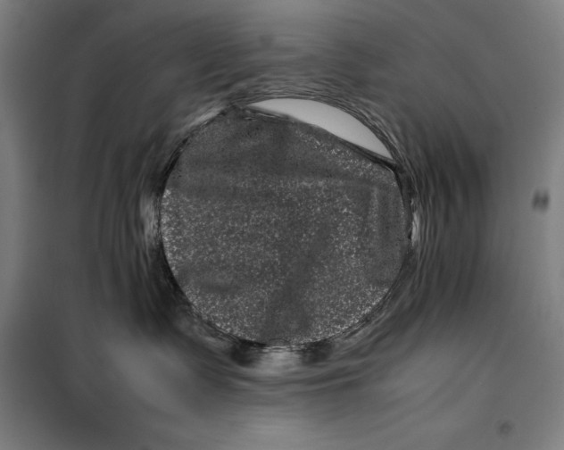 X0000099470335200805301602