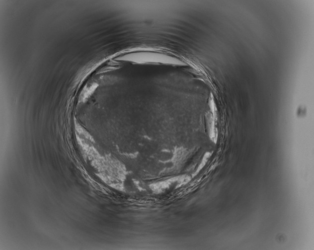 X0000099470337200805301601