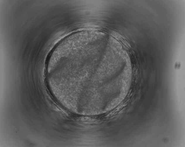 X0000099470338200805301601