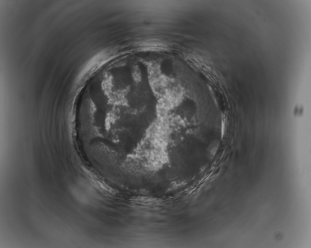 X0000099470339200805301601