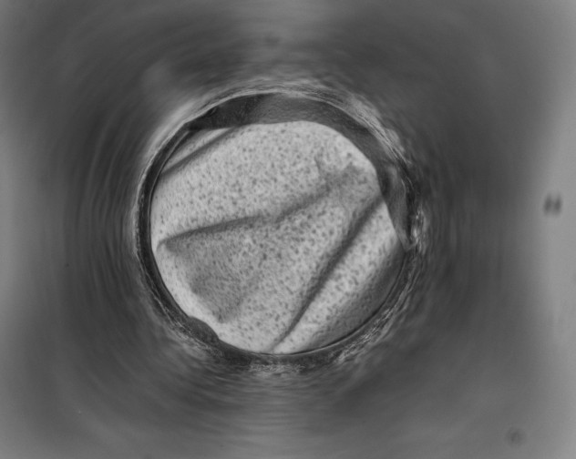 X0000099470340200805301601