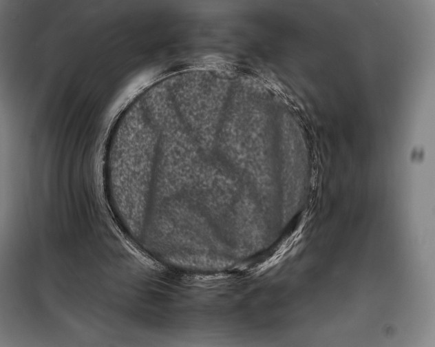 X0000099470341200805301601