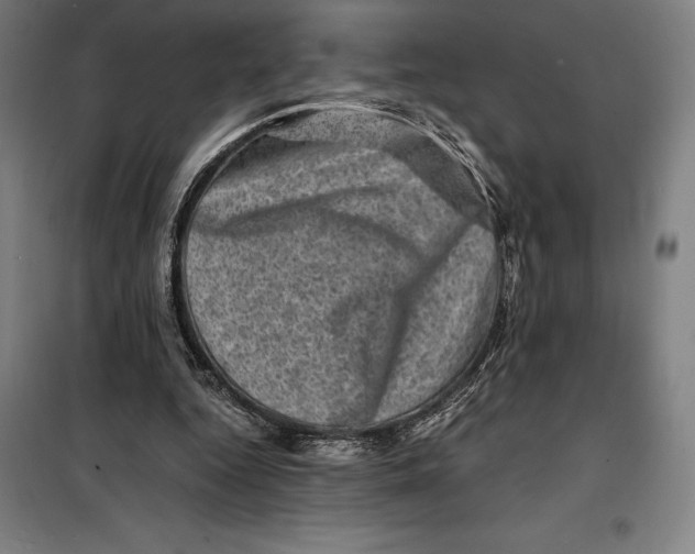 X0000099470344200805301601