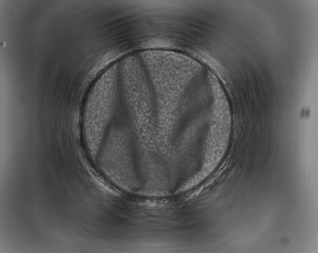 X0000099470345200805301601