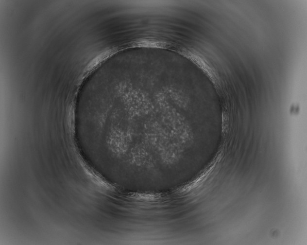 X0000099470349200805301601