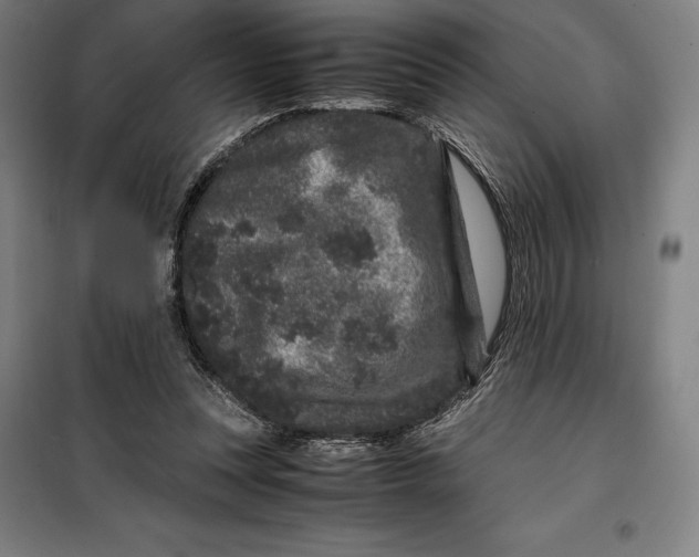 X0000099470351200805301601