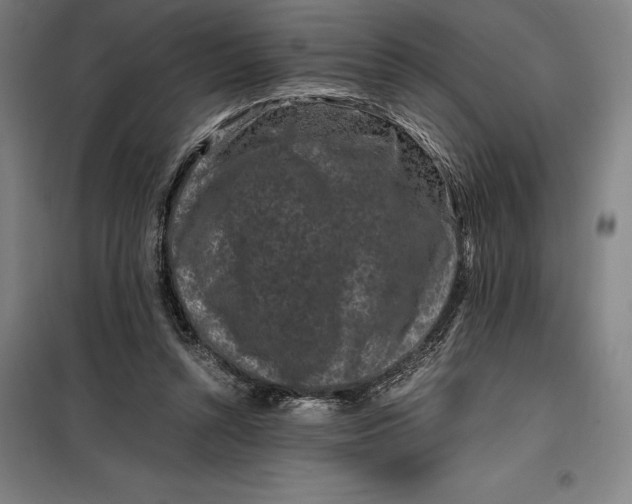 X0000099470352200805301601