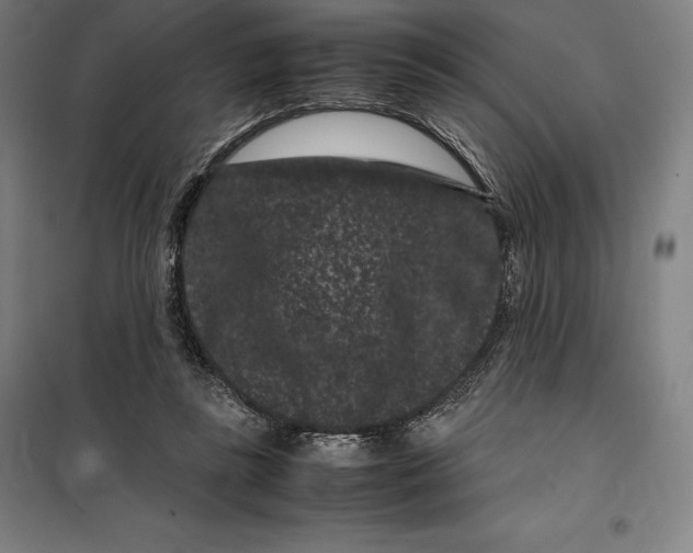 X0000099470355200805301601