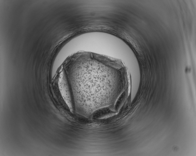 X0000099470356200805301601